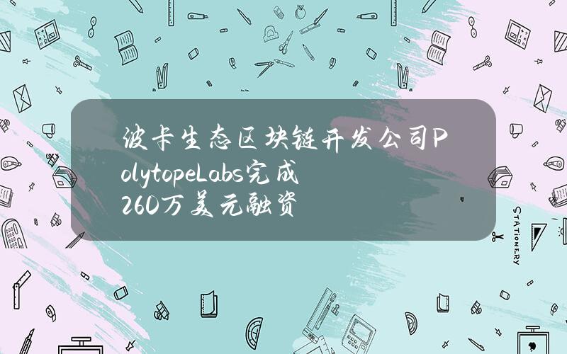 波卡生态区块链开发公司PolytopeLabs完成260万美元融资